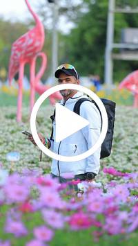 BIB:  <button type="button" onclick="openModal(27583059)" class="btn btn-primary btn-sm float-right" data-toggle="modal" data-target=".modal-high-quality">
                <i class="fa fa-download"></i> Download
                </button>